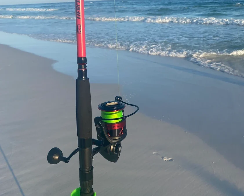 Best Line for Surf Fishing: Top 5 Reasons to Use Braid