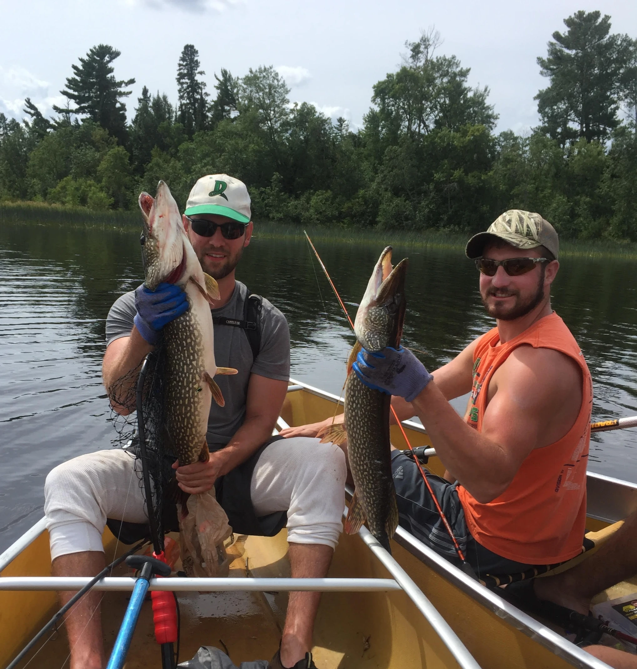 Basswood Northern Pike