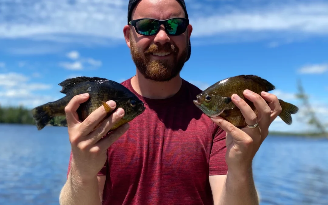 How I Catch Massive Bluegill | Everything You Need to Know About Bluegill Fishing