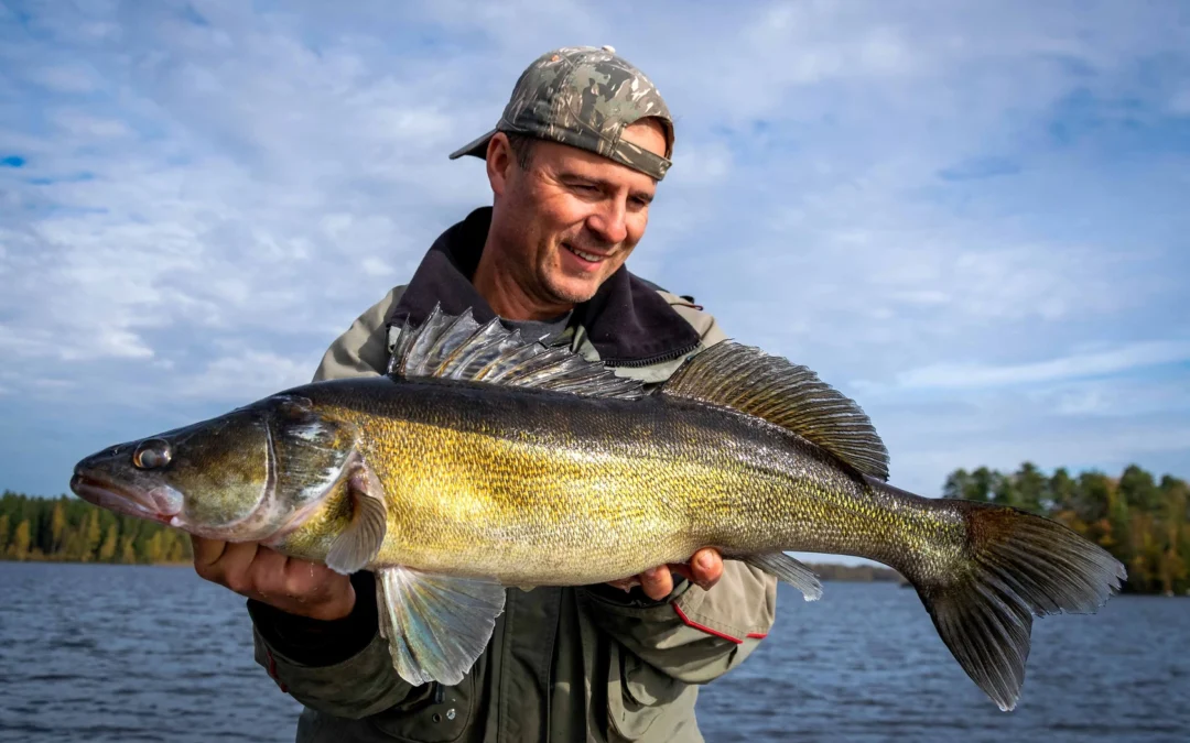 Best Fishing Spots Near Brainerd, MN: Ranking the Top 18 Lakes, Updated 2024