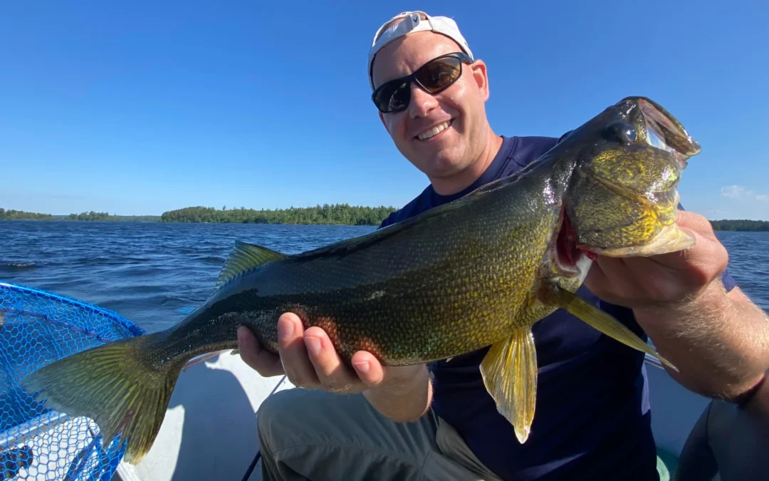 Top 19 Fishing Lakes Near Ely Minnesota and BWCA: Updated 2024