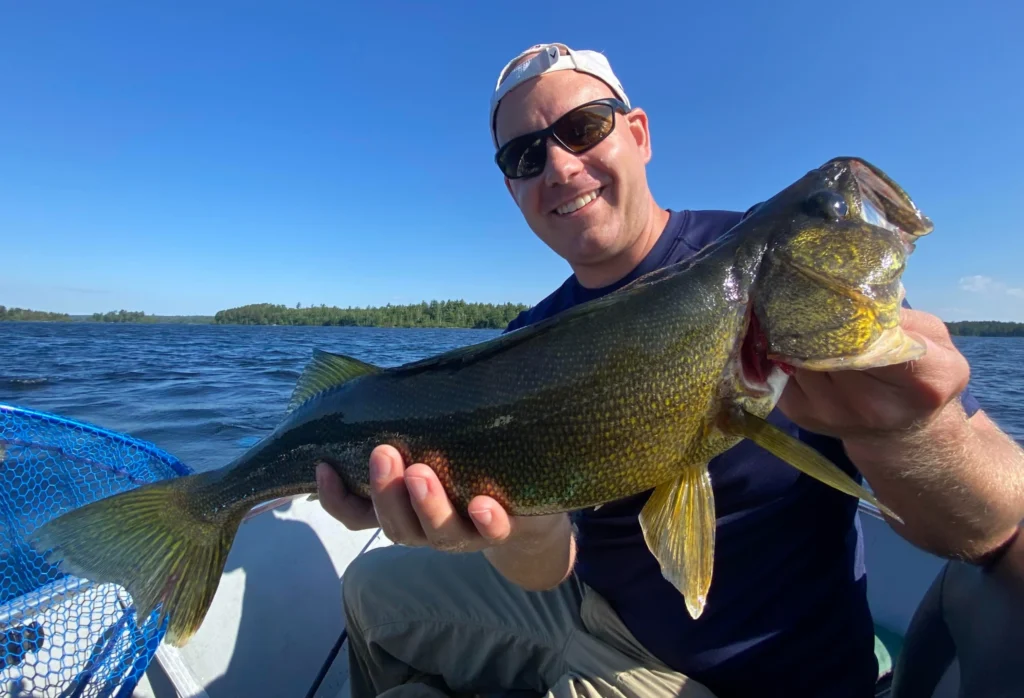 Nice Eating Walleye