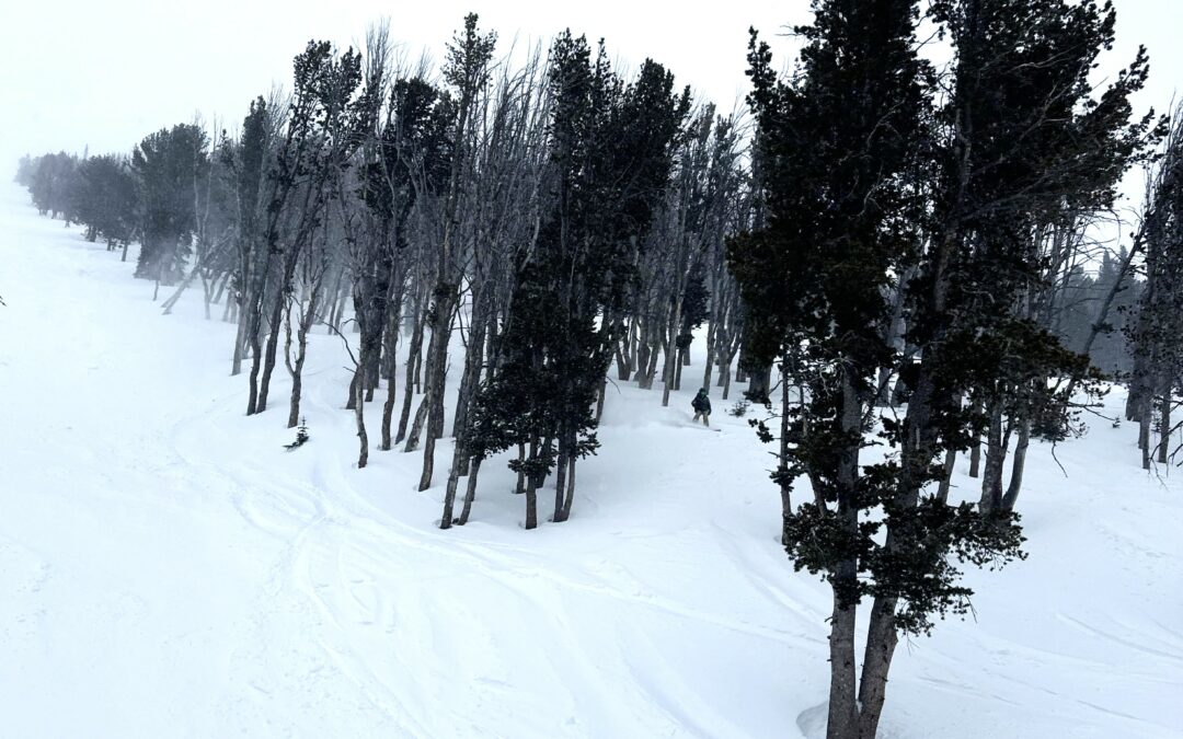 Best Tree Runs: Big Sky