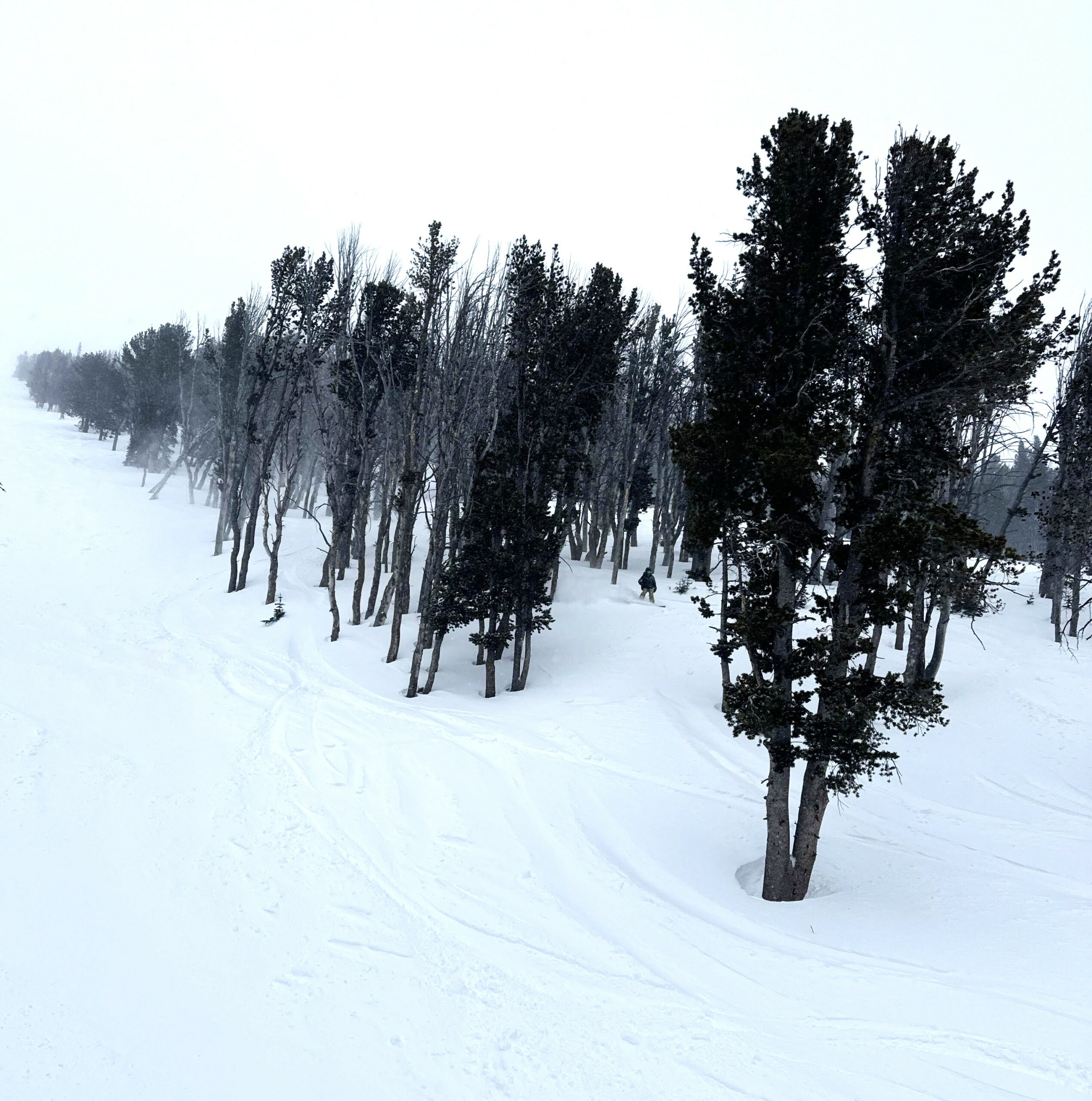 Bavarian Forest, Big Sky MT from Dakota 3 chair lift