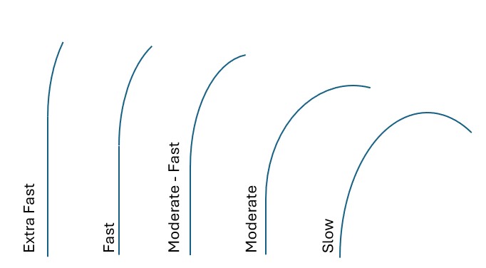 Rod Action Chart