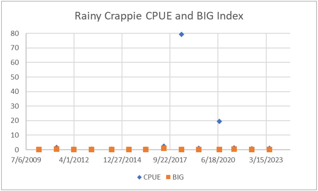 Rainy lake Crappie CPUE catch rate per year and Big Crappie Index